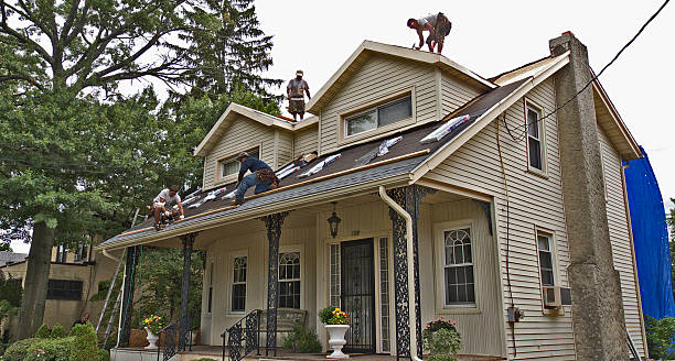 Best Shingle Roofing Installation  in Conroe, TX